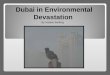 By Natalie Behling Dubai in Environmental Devastation