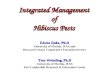 Integrated Management of Hibiscus Pests Edwin Duke, Ph.D University of Florida, IFAS and Broward County Cooperative Extension Service Tom Weissling, Ph.D