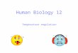Human Biology 12 Temperature regulation. Metabolism and temperature Metabolism refers to all reactions occurring in the body Metabolic rate refers to