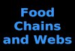 Food Chains and Webs. Producers Primary Consumers Secondary Consumers Tertiary Consumers