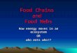 Food Chains and Food Webs How energy moves in an ecosystem OR who eats who!?