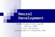 Neural Development CS182/CogSci110/Ling109 Spring 2008 Srini Narayanan snarayan@icsi.berkeley.edu