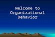 Welcome to Organizational Behavior. INTRODUCTION TO ORGANIZATIONAL BEHAVIOR
