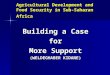 Agricultural Development and Food Security in Sub-Saharan Africa Building a Case for for More Support (WELDEGHABER KIDANE)