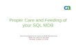 Proper Care and Feeding of your SQL MDB -Recommendations for General MDB Maintenance -Read the notes on the foils! -Revised October 10 2006