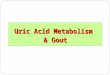 Uric Acid Metabolism & Gout. Nucleic Acids Mononucleotide Base + Sugar + Phosphoric Acid Base: Purine or Pyrimidine Polynucleotide (DNA or RNA) Mononucleotides