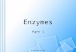 M. Zaharna Clin. Chem. 2009 Enzymes Part 1. M. Zaharna Clin. Chem. 2009 Introduction  Enzymes are usually proteins that act as catalysts, compounds that