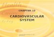 Copyright 2003 by Mosby, Inc. All rights reserved. CHAPTER 10 CARDIOVASCULAR SYSTEM