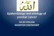 Epidemiology and etiology of prostae cancer DR.SH MOLANA RADIATION ONCOLOGIST