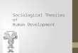 Sociological Theories of Human Development. Sociological theories of human development Do not copy Although, social scientists acknowledge the contributions