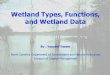 January 2002. Wetlands Wetlands Wetland Functions Wetland Functions Wetland Types Wetland Types wetland data wetland data Topics