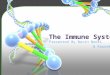 The Immune System. What Is It? The immune response is how your body recognizes and defends itself against bacteria, viruses, and substances that appear