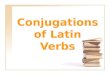Conjugations of Latin Verbs. Principle Parts Almost every verb has 4 principle parts The 1 st principle part is the first person of the present tense