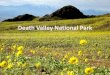 By: Jaclyn Krizanic. What year did the park become an official National Park and why? Death Valley become recognized as a national monument by President