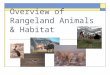 Overview of Rangeland Animals & Habitat. Objectives  Define habitat  Identify and discuss four basic elements of habitats  Identify and discuss limiting