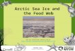 Arctic Sea Ice and the Food Web Page 1 Teacher Zone nature.ca/education See the associated lesson plan at 