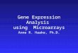 Gene Expression Analysis using Microarrays Anne R. Haake, Ph.D