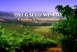 E&J GALLO WINERY Creating A New Tradition The E&J Gallo Winery is the largest private winery in the world. Gallo wines account for one in every four