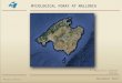 MYCOLOGICAL FORAY AT MALLORCA  Enric Gracia November 2015  Mallorca & Cabrera Islands