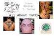 All About Tattoos Human Biology S. Dosman. History of Tattoos The word tattoo comes from the Tahitian word “tatu” which means to mark something. Tattoos