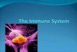 Your immune system helps your body work is many different ways. It fights germs, kills diseases, and heals cuts and wounds. Some of the diseases you get