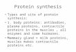 Protein synthesis Types and site of protein synthesis: 1. body proteins: antibodies, plasma proteins, contractile proteins in the muscles, all enzymes