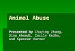 Animal Abuse Presented by Chuying Zhang, Sina Ahmadi, Cecily Keihn, and Spencer Varner