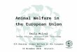 Animal Welfare in the European Union Emily McIvor Senior Advisor, Research and Toxicology HSI-Europe ECR Hearing: Animal Welfare in the European Union
