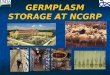 GERMPLASM STORAGE AT NCGRP. OUTLINE Seed Storage – 9:00-9:40 Seed Storage – 9:00-9:40 David Brenner David Brenner Storage of Vegetatively Propagated Crops