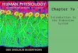 Chapter 7a Introduction to the Endocrine System. Endocrinology Study of hormones Specialized chemical messengers Secreted by select cells Action at distant