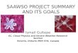 SAAWSO PROJECT SUMMARY AND ITS GOALS Ismail Gultepe EC, Cloud Physics and Severe Weather Research Section Toronto, Ontario M3H 5T4, Canada