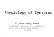 Physiology of Synapses Dr Taha Sadig Ahmed Physiology Department, College of Medicine, King Saud University, Riyadh 1