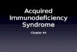 Acquired Immunodeficiency Syndrome Chapter 44. HIV and AIDS HIV infection usually leads to Immunosuppression Subsequent susceptibility to opportunistic