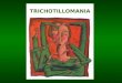 TRICHOTILLOMANIA. BY: Danny Duke & Mary Keeley What is Trichotillomania?  Trichotillomania is a disorder characterized by the chronic compulsion of