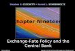Stephen G. CECCHETTI Kermit L. SCHOENHOLTZ Exchange-Rate Policy and the Central Bank Copyright © 2011 by The McGraw-Hill Companies, Inc. All rights reserved