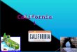 State Abbreviation- CA  State Capitol- Sacramento  Land- 163,707 square miles  Population 33,871,648  Name for residents- Californians  Highest