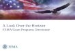 A Look Over the Horizon FEMA/Grant Programs Directorate U.S. Department of Homeland Security