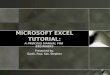 MICROSOFT EXCEL TUTORIAL: A PROCESS MANUAL FOR BEGINNERS Presented by: Garth, Paul, Kat, Stephen