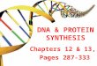 DNA & PROTEIN SYNTHESIS Chapters 12 & 13, Pages 287-333