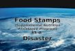 Food Stamps (Supplemental Nutrition Assistance Program) in a Disaster