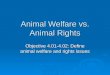 Animal Welfare vs. Animal Rights Objective 4.01-4.02: Define animal welfare and rights issues