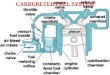 CARBURETED FUEL SYSTEM. General layout of fuel supply system in Petrol Engine
