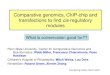 Comparative genomics, ChIP-chip and transfections to find cis-regulatory modules Penn State University, Center for Comparative Genomics and Bioinformatics: