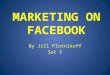 By Jill Plotnikoff Set F. What is Social Network Marketing? Facebook Marketing Examples – uSocial – Nielsen Brand Lift – Beacon Other Social Networks