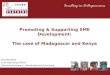 Promoting & Supporting SME Development: The case of Madagascar and Kenya Paul Malherbe Chief Operating Officer: Technical Assistance – Mentorship and Consulting