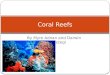 By Myre Adnan and Darwin Garamszegi Coral Reefs. Biome Biomes are climatically and geographically defined as communities of animals, plants and soil organisms