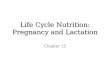 Life Cycle Nutrition: Pregnancy and Lactation Chapter 15