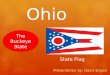 Presentation by: Davis Engen The Buckeye State Ohio State Flag