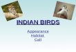 INDIAN BIRDS Appearance Habitat Call. GREAT INDIAN HORNBILL Appearance-:A heavy billed with yellow head and neck but black and white wings and tail.Its