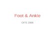 Foot & Ankle OITE 2006. Arch height is maintained during the stance phase of gait primarily by 1.Achilles tendon contraction. 2.posterior tibial tendon